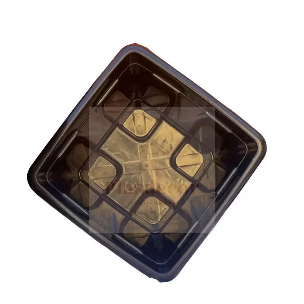 Kit 10 Vasos de 2 Litros para Plantas